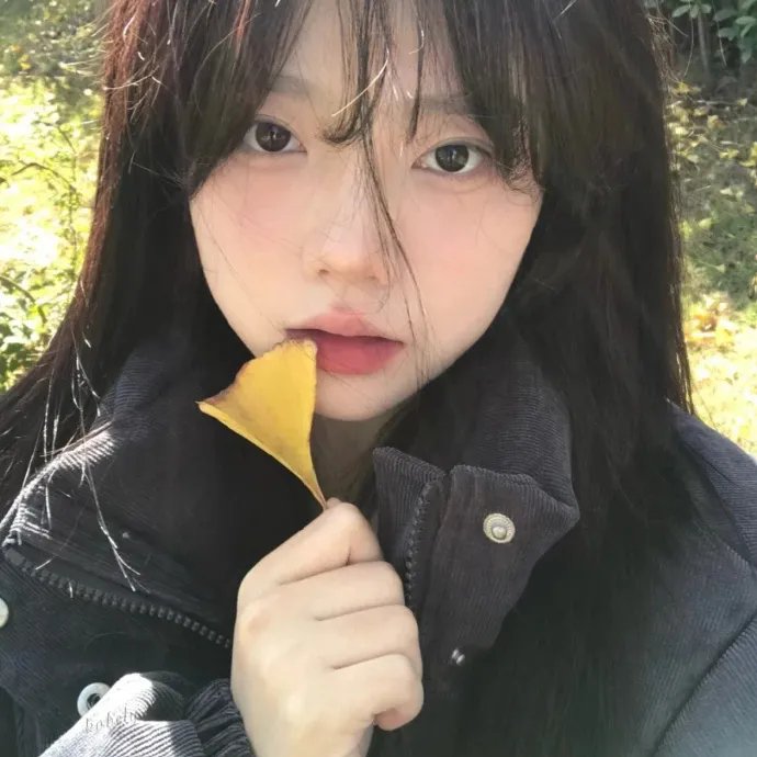 恋爱的正确姿势2